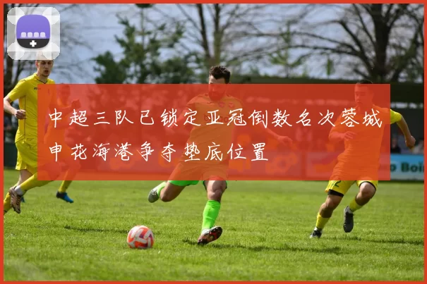 中超三队已锁定亚冠倒数名次蓉城申花海港争夺垫底位置