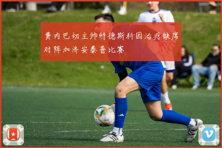 费内巴切主帅特德斯科因治疗缺席对阵加济安泰普比赛